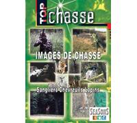 Top chasse - Images de chasse : Sangliers, Chevreuils Lièvres