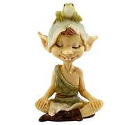 Top Collection Figurine Miniature pour Jardin féérique et Terrarium Pixie en méditation avec Grenouille