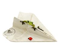 Top Collection Jardin Féérique Miniature et Terrarium scellé avec Amour Grenouille sur Papier Avion Statue