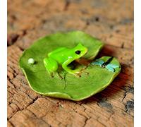 Top Collection Statue Miniature de Jardin de fées et de Terrarium Grenouille et Libellule sur Feuille de Lotus