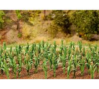 Faller - F181250 - Modélisme - Plantes de Mais