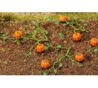 Top FALLER, H0 6 Plantes, Impact Très Naturel 181258