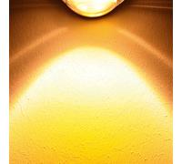 Top Light Focus Filtre de couleur, 2-630,