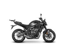 Top Master Yamaha MT07