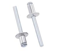 TOP-VIGOR Lot de 25 rivets aveugles en aluminium de 6 mm x 10 mm, rivets pop argentés pour fixation en métal, rivets aveugles à extrémité ouverte pour bricolage, meubles et réparations générales