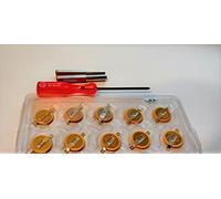 TOPALLI - 10 Gameboy Batteries Cr1616 by Compatible avec Gameboy Color, Advance Cartouche de Jeu et Tri-Wing Tournevis de réparation et 3,8 mm et 4.5mm Pièces de Rechange pour Gameboy et Plus