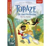 Topaze-brume d enfer niv3 Anne Loyer (Auteur), Pierre Grosz (Auteur), Rémi Saillard (Illustration)