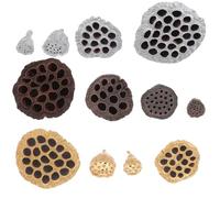 TOPBATHY 12pcs Cosse de Lotus Séchée Naturelle Décoration Solide pour Fêtes à Thème et Noël, Fleurs Séchées Résistantes et Élégantes pour DIY et Décor Maison Style Style Aléatoire