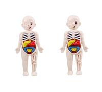 TOPBATHY 2 Ensembles Modèle D'organe Humain Accessoires D'organes Du Corps Viscères Humains Organes Cognitif Casse-tête D'anatomie Modèle D'anatomie Pour Enfants Orgue Plastique