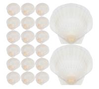 TOPBATHY 20 Pièces Coquilles Saint Naturelles Blanches | Coquillage en Coquille, Usage Aquarium et Plateau Apéritif, Blanc, Fêtes Marines
