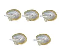 TOPBATHY 5 Ensembles Vaisselle coquillage decoration Décoration plateau à couverts assiette petit déjeuner maison couverts de table ustensiles de cuisine assiettes caviar