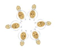 TOPBATHY 6 Pièces Bouteilles Verre avec Couvercle Alliage et Cristal pour Eau Bénite Conteneurs Décoratifs pour Cérémonies Religieuses Utilisation Polyvalente et Portable