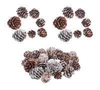 TOPBATHY 80 pièces Mini Pignes Rustiques pour Ornements de Sapin et Remplissage de Vase pour Décoration Automne et Hiver