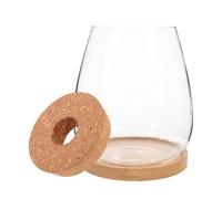 TOPBATHY Bouteille de Plantes Hydroponiques en Conteneur, Bouteille de Micro-Paysage en Verre et Bambou, 1 Set, pour Fleurs et Mousse, Décoration de Bureau et D'étude