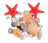 TOPBATHY Coquillages Naturels Et Escargots De Mer pour Décoration Aquarium Et Micropaysage DIY Plage