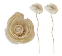 TOPBATHY Ensemble de Bâtons Diffuseurs de Parfum Tiges de Diffuseur en Rotin Bâtons Diffuseurs pour Spa