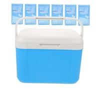 TOPBATHY Glacière Portable Isolée avec Poignée et Pack Glace Boîte de Conservation pour Pique- Camping Randonnées et Activités Extérieures