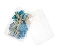TOPBATHY Kit De Cadre Photo De Fleurs Séchées De Vœux Décor De Fleurs Séchées Botaniques Ornements De Fleurs Sèches Cartes De Vœux Boîte Accessoire De Bougie