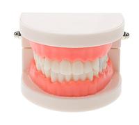 TOPBATHY Modèle Amovible de Dents pour Dentiste, Modèle Pédagogique Standard Caries, Structure Réaliste en Plastique Solide, Outil D’apprentissage Bucco- pour Étudiants et Professionnels