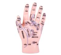 TOPBATHY Modèle Pédagogique de Main pour Acupuncture et Réflexologie Palmaire, Pvc Solide, Points D'acupuncture Clairement Marqués, Outil D'apprentissage pour Massage et Enseignement