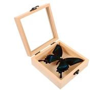 TOPBATHY of Butterfly Specimen Wall Hanging Decor for Home Display Educational Insect Art Case Collectors and Nature Lovers