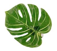 TOPBATHY Rideaux Verts Boucles De Pinces à Rideaux Clips De Draperie Crochets pour Pinces à Rideaux Pinces à Rideaux Nautiques Boucle D'embrasse De Rideau Porte-Rideau Green Plastique