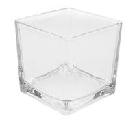 TOPBATHY Vase Cube Verre Transparent Vase à Fleurs Carré Moderne Centre De Table pour Fleurs Jardinière Verre pour Plantes Décoration De Bureau Élégante