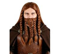 Topcosplay Ensemble de perruques et barbe marron pour homme - Longue perruque grise pour cosplay, Halloween, fête costumée, magicien
