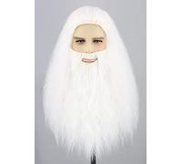 Topcosplay Perruque et barbe pour homme - Longue perruque blanche pour cosplay, sorcier, prophète - Pour carnaval, Halloween