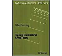 Topics In Combinatorial Group Theory