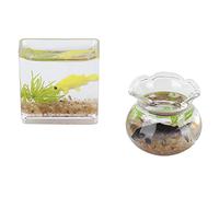 TOPINCN Accessoire de Maison de Poupée Miniature pour la Pêche pour des Vies pour Doll House pour Décorer Le Salon 1:12 adapté aux Bols en Plastique et Ronds de Plus de 3 Ans