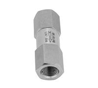 TOPINCN Clapet Anti-retour Hexagonal en Acier Inoxydable 304, pour Applications Haute Pression et Température, Options BSPP de 1/8 Pouces à 1/2 Pouces (1/4")