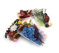 TOPINCN Fleurs Séchées Artisanales, Ensemble de Fleurs Séchées Pressées, pour L'artisanat, avec des Couleurs Vives, pour la Décoration de la Maison, Cadeaux de Mariage