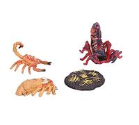 TOPINCN Kit de Cycle de Vie du Scorpion, Ensemble de Jouets éducatifs pour Enfants avec Figurines en Plastique pour Cours de Nature et Décoration D'intérieur, à Partir de (Cycle de Croissance du