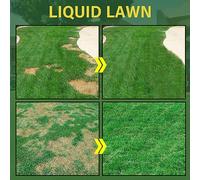 TOPINCN Liquide pour Pelouse, Agent de Verdissement de la Pelouse, Application Facile, pour Les Marbrées, capacité de 59ml pour l'entretien du Jardin Domestique, 2 Paquets (Couleur des Photos)