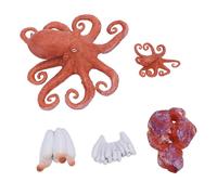 TOPINCN Lot de 5 Figurines de Pieuvre, Jouet éducatif d'apprentissage du Cycle de Vie de la Pieuvre, Jouet Animal Marin, Modèle Animal Océanique, Ensemble de Jouets pour la Maison,