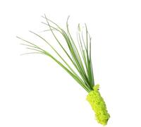 TOPINCN Lot de 5 Petites Baguettes de Chat en Forme d'herbe - Simulation Haute - Queue de Chien Verte et Jaune - Teaser en Forme d'herbe - Jouet Interactif pour Animaux de Compagnie (Green)