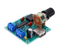 TOPINCN Module de Carte Amplificateur PM2038 avec Protection Intégrée contre la Surchauffe pour une qualité Audio Améliorée, Puissance 3,5 W, Alimentation DC2-6 V