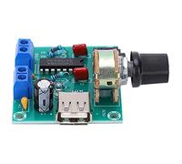 TOPINCN Module de Carte Amplificateur USB avec Suppression des Surtensions et Protection contre la Surchauffe pour des Performances Audio Robustes, Puissance 3,5 W, Plastique Durable
