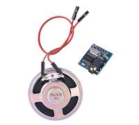 TOPINCN Module de Synthèse Vocale SYN6288 avec Voix Chinoise Naturelle pour Diffusion Vocale sur Terminal de Voiture et Produits électroniques, 1 Module Sonore pour Téléphone Portable et Produits