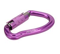 TOPINCN Mousqueton Durable de Serrure Principale d'escalade avec la Conception D'anticrochet pour L'aluminium D'aviation de L'alpinisme 78g