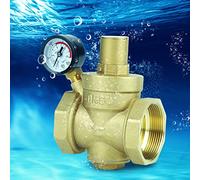 TOPINCN Régulateur de Pression en Laiton Réglable pour les Systèmes D'eau Ménagers, Conception Durable, Réglage Simple