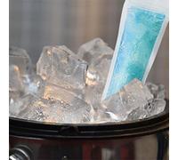 TOPINCN Sacs de Congélation pour Sucettes Glacées, Matériau de qualité Alimentaire, Fermeture éclair Facile, Parfaits pour le Yaourt et les Boissons d'été DIY, Paquet de 100 Pièces (Comme montré)