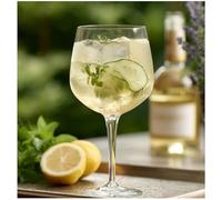 Topkapi 250.905 Gin Momento Lot de 6 Verres à gin Tonic Ballon de la série Bar & Lounge 630 ML XL