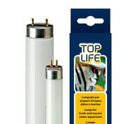Toplife 8 W Lamp T5