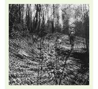 Topographies - Interior Spring [Vinyl] [Import]