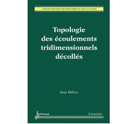 Topologie des écoulements tridimensionnels décollés - Marie-Catherine Délery - Hermes Science Publications - broché - Scolaire / Universitaire