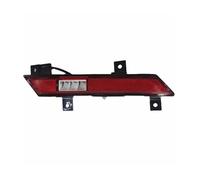 TOPOLVLCKC Pour B&YD Pour Destroyer 05 2022-2024 Pare-chocs Arrière Voiture Feu Freinage Feus Recul Antibrouillard arrière antibrouillard réflecteur lampe(Right)