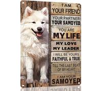 TopPacific Plaque en métal Samoyède - Art mural vintage « I Am Your Friend » - Cadeau pour les amoureux des chiens - Décoration murale amusante pour décoration d'intérieur - 30,5 x 40,6 cm (538B)