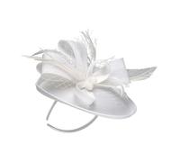TOPPERFUN 1 Pièce Diadème Élégant avec Voile et Fleurs Accessoire de Cheveux pour Fête Photo et Mariage